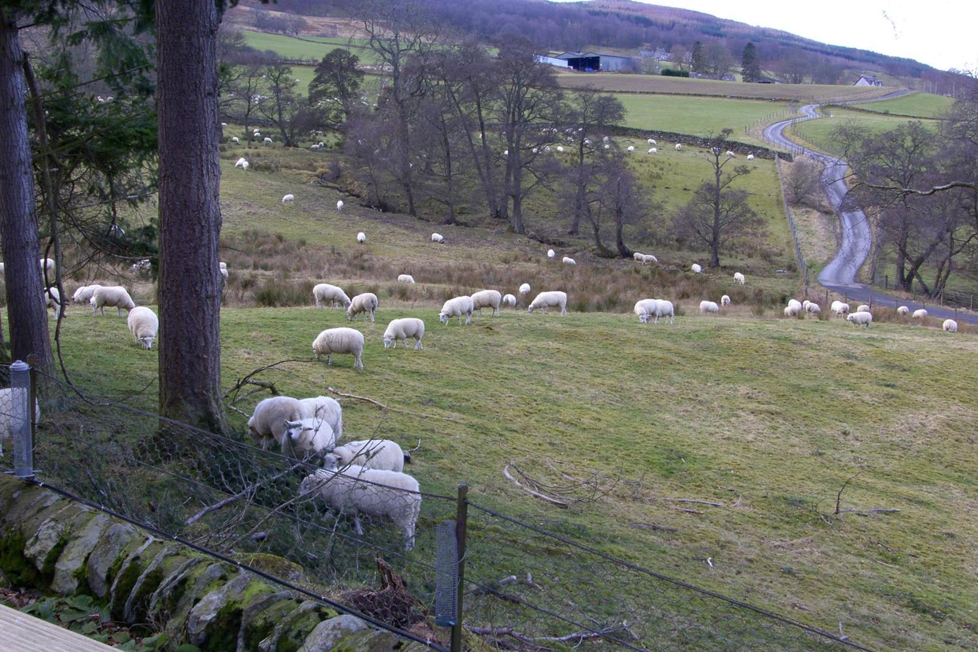 Brae House Bed & Breakfast Aberfeldy Bagian luar foto